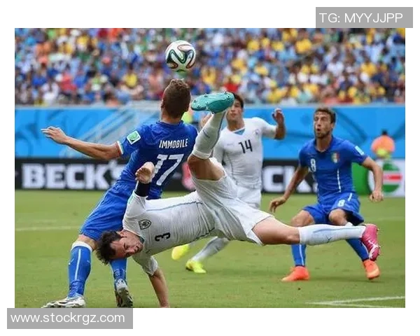 圣彼得堡对阵布鲁日今日赛事分析与精彩看点分享